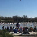 Les visites scolaires au Parc